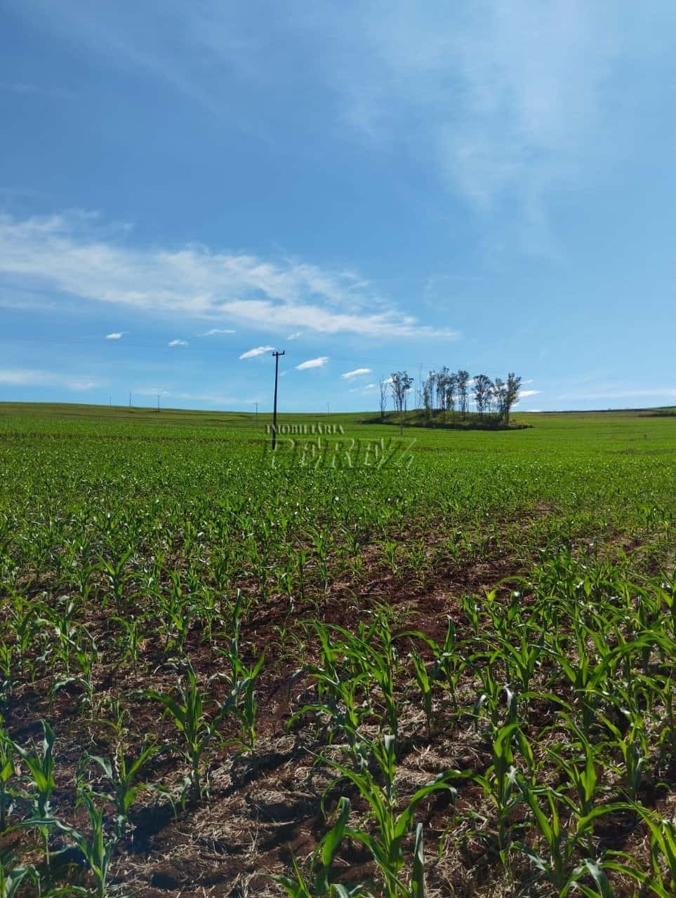 Terreno à venda em Ibiporã - Malibu — foto principal