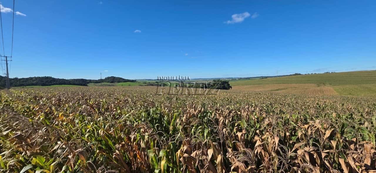 Imóvel rural à venda em Irerê - Fazenda Taquara — foto principal