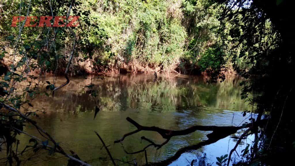 Chácara à venda na Estrada Betânia região leste de Londrina - Limoeiro — foto principal