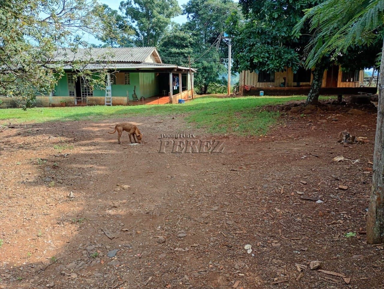 Imóvel rural à venda na Estrada do Posto Serrinha em Londrina