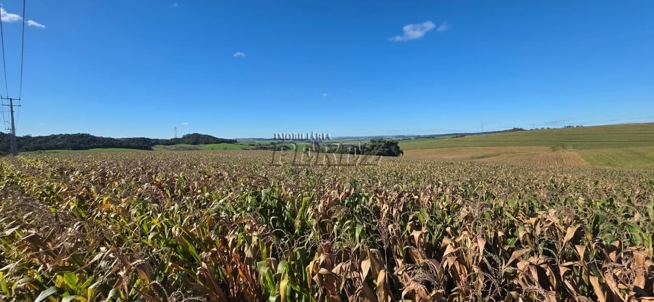 Imóvel rural à venda em Irerê - Fazenda Taquara