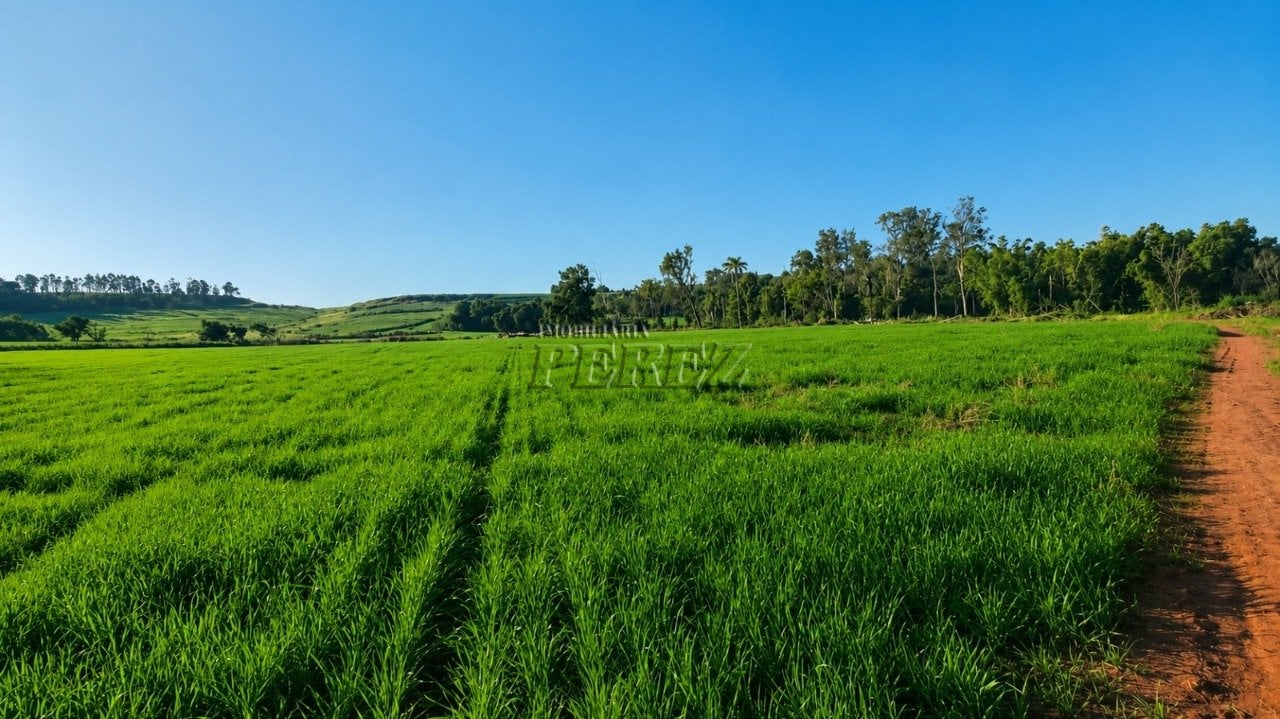Terreno rural à venda na Estrada do Poço Bonito - Ibiporã