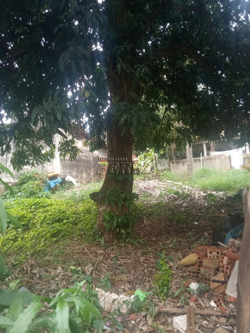 Terreno à venda no Jardim Andrade, região oeste de Londrina