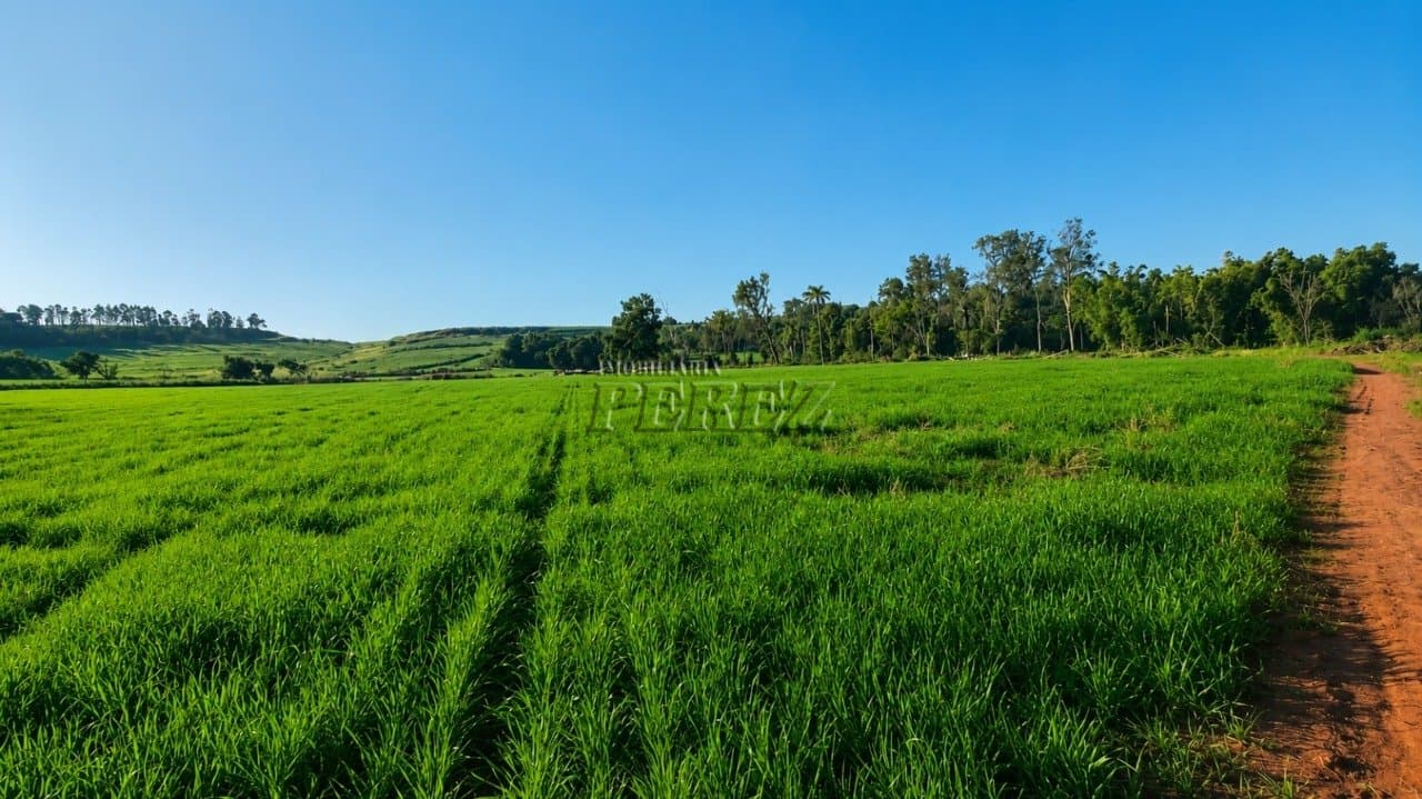 Terreno rural à venda na Estrada do Poço Bonito - Ibiporã