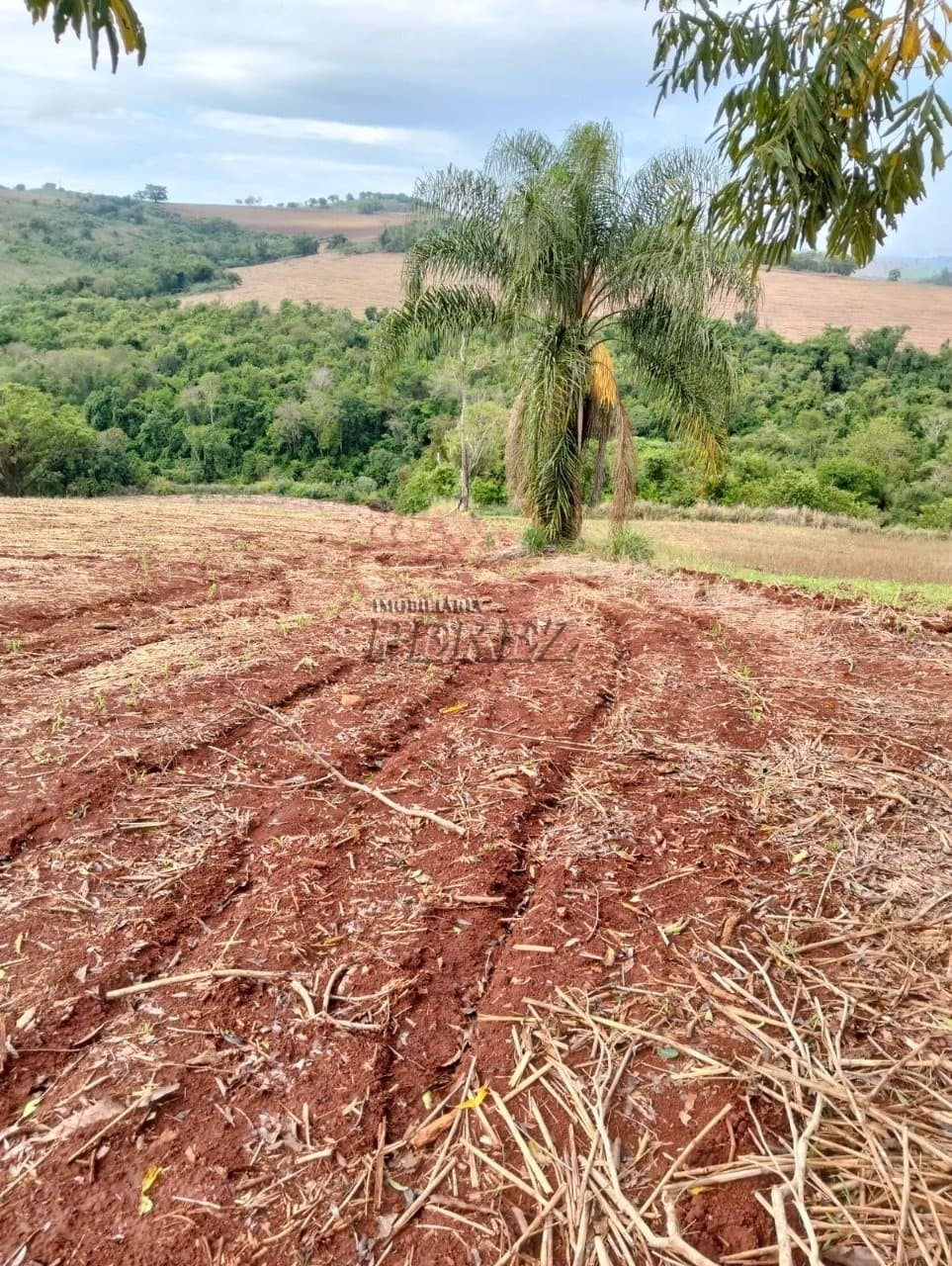 Chácara à venda em Guairacá