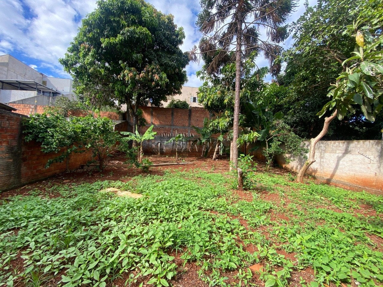 Casa para alugar na região oeste de Londrina - Colúmbia