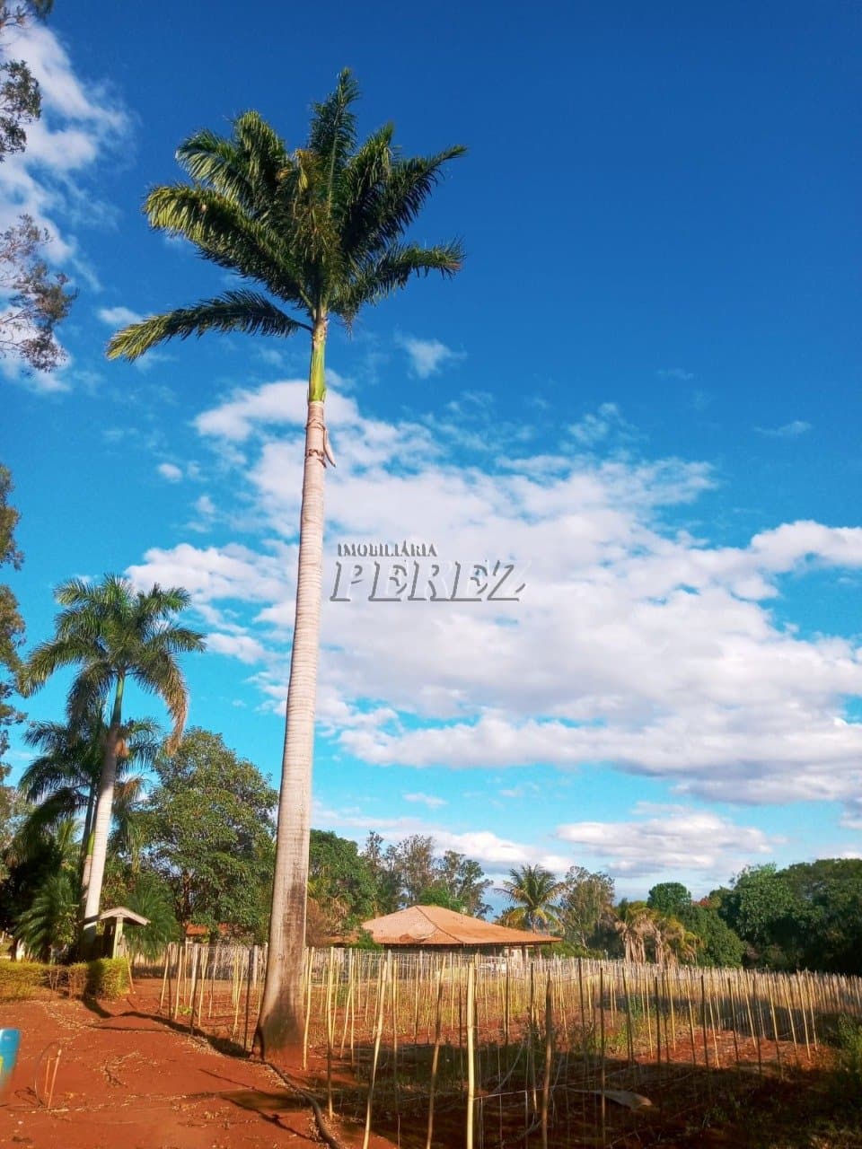 Terreno à venda em Primeiro de Maio - Recanto Belavistinha
