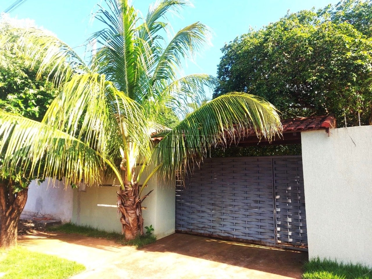 Chácara à venda em Primeiro de Maio - Rua Vinte e Quatro