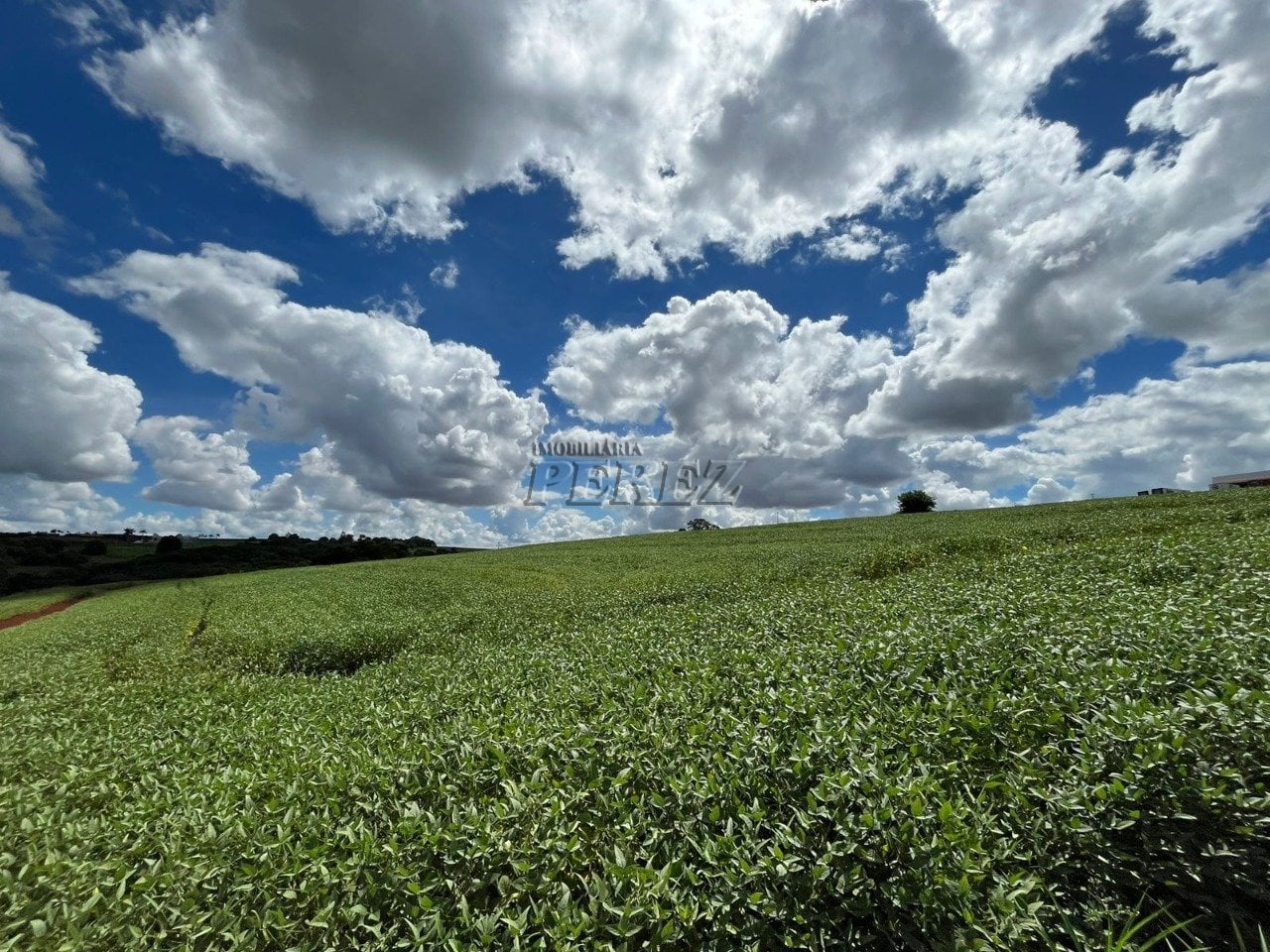 Terreno à venda em Ibiporã - Contorno Norte