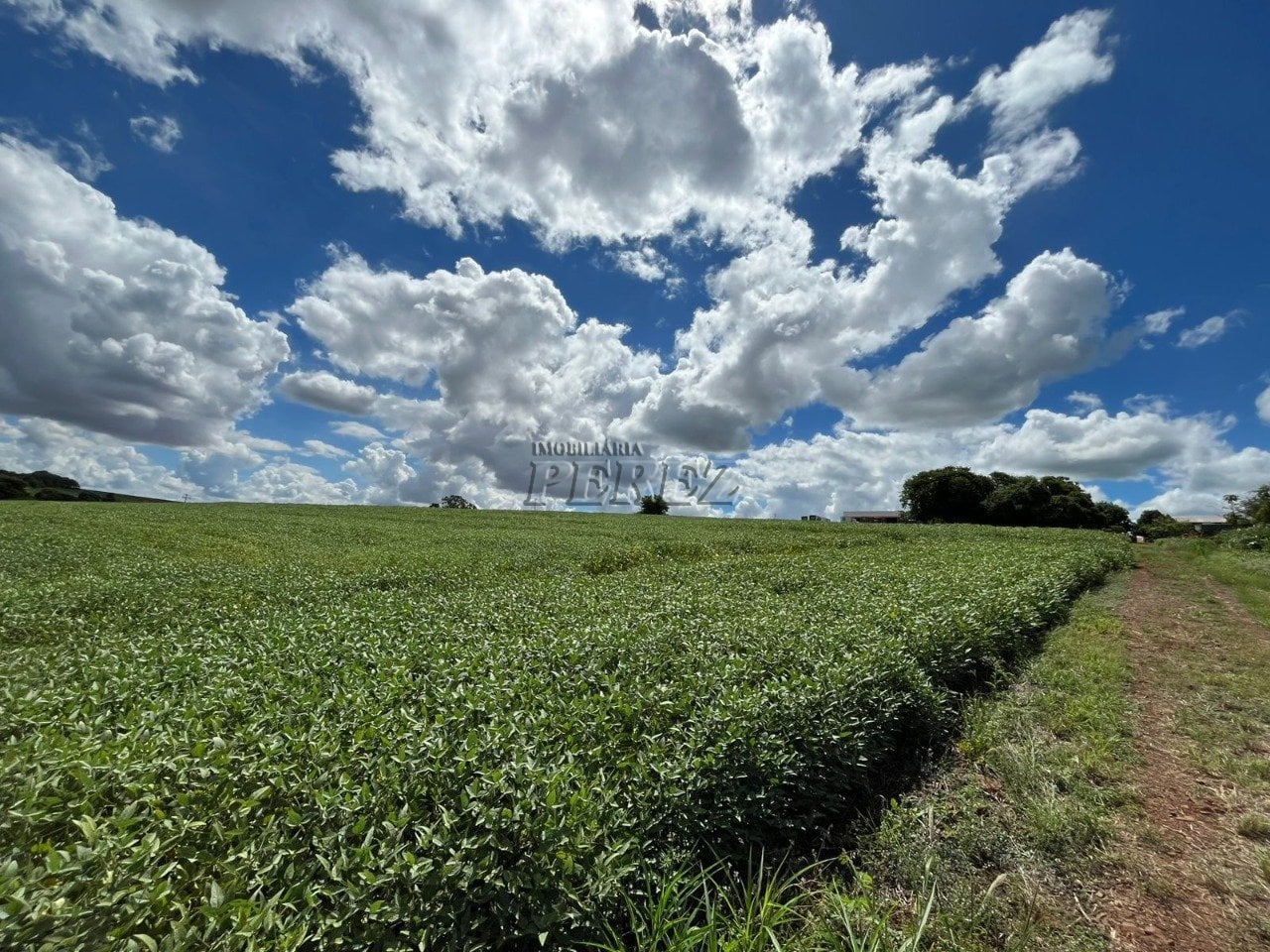 Terreno à venda em Ibiporã - Contorno Norte