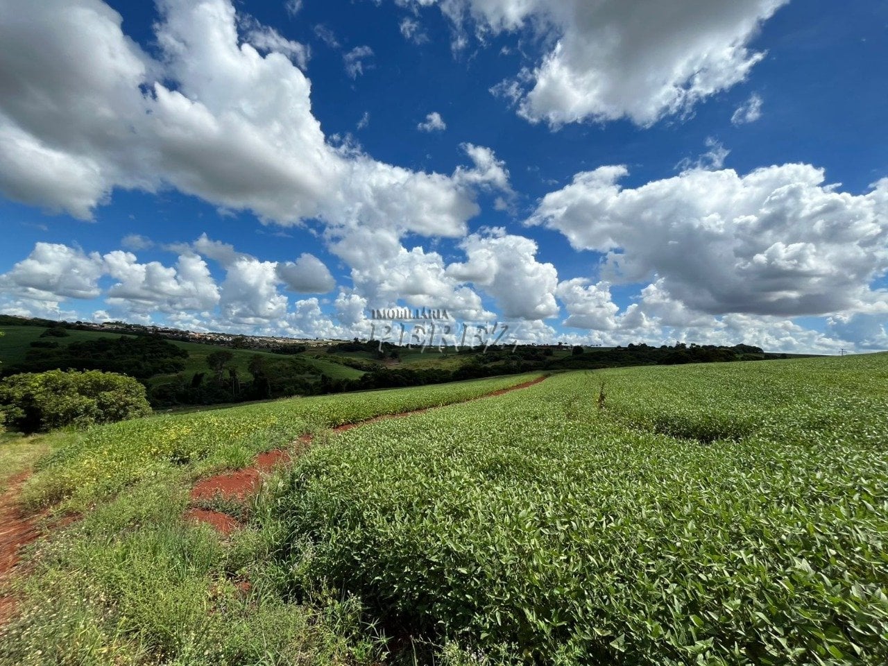 Terreno à venda em Ibiporã - Contorno Norte