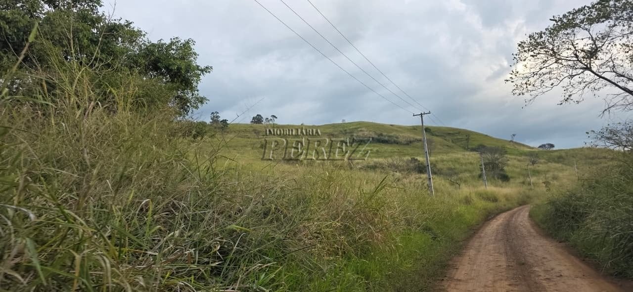 Imóvel rural à venda na Estrada do Posto Serrinha em Londrina