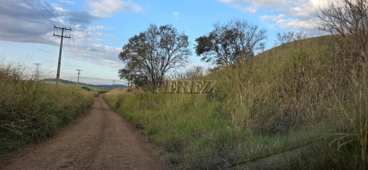 Imóvel rural à venda na Estrada do Posto Serrinha em Londrina
