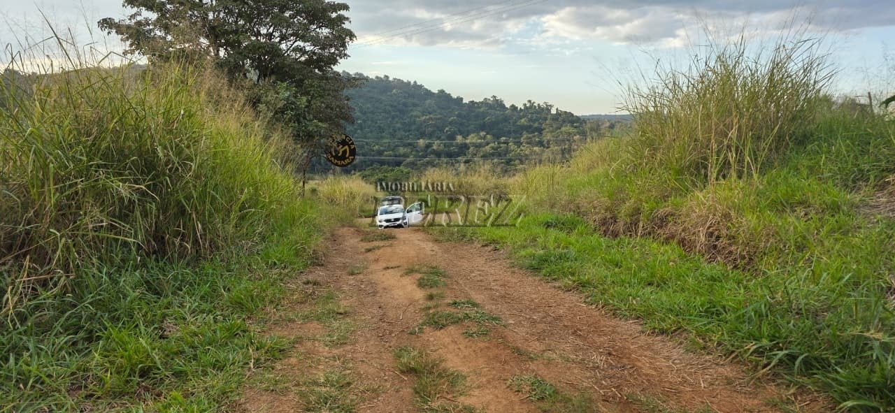 Imóvel rural à venda na Estrada do Posto Serrinha em Londrina