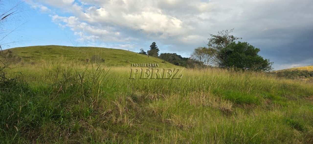 Imóvel rural à venda na Estrada do Posto Serrinha em Londrina