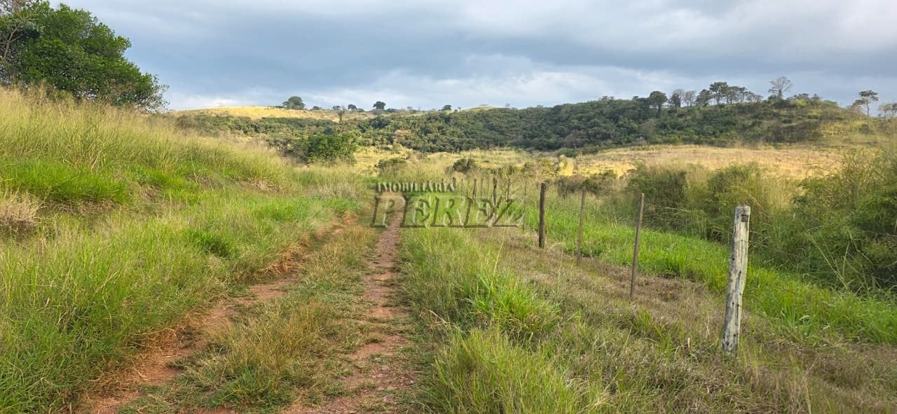 Imóvel rural à venda na Estrada do Posto Serrinha em Londrina