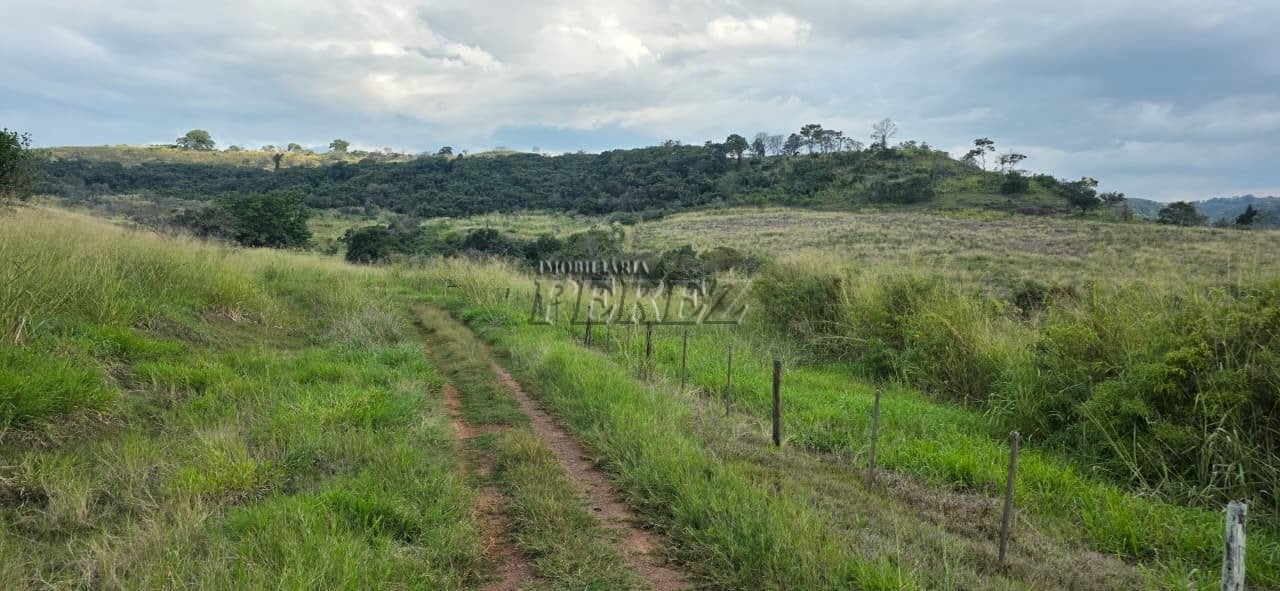 Imóvel rural à venda na Estrada do Posto Serrinha em Londrina