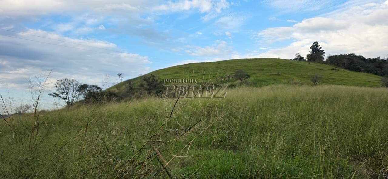Imóvel rural à venda na Estrada do Posto Serrinha em Londrina