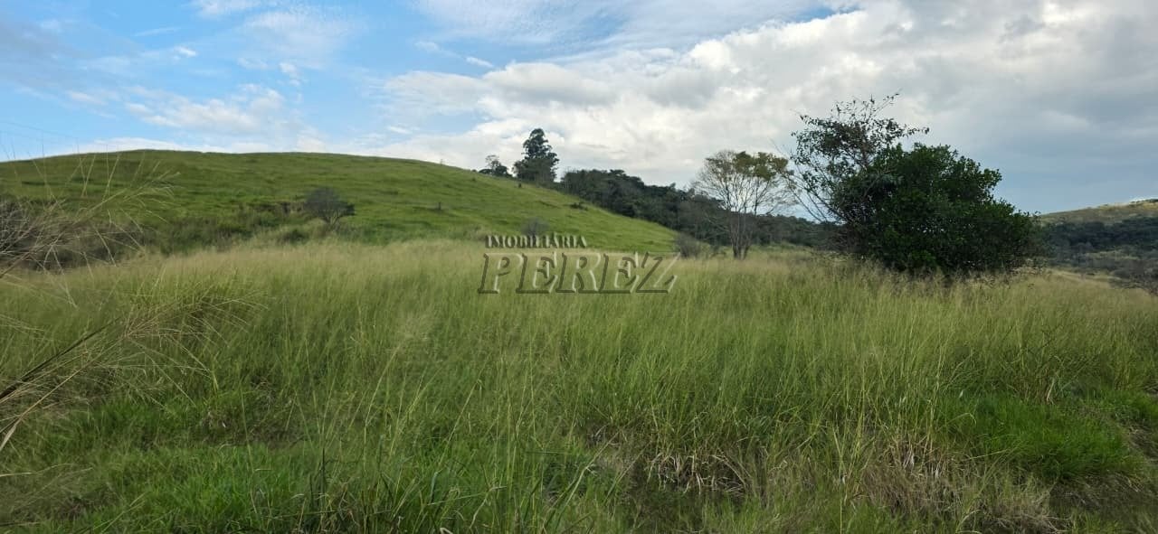 Imóvel rural à venda na Estrada do Posto Serrinha em Londrina