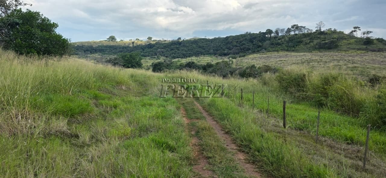 Imóvel rural à venda na Estrada do Posto Serrinha em Londrina