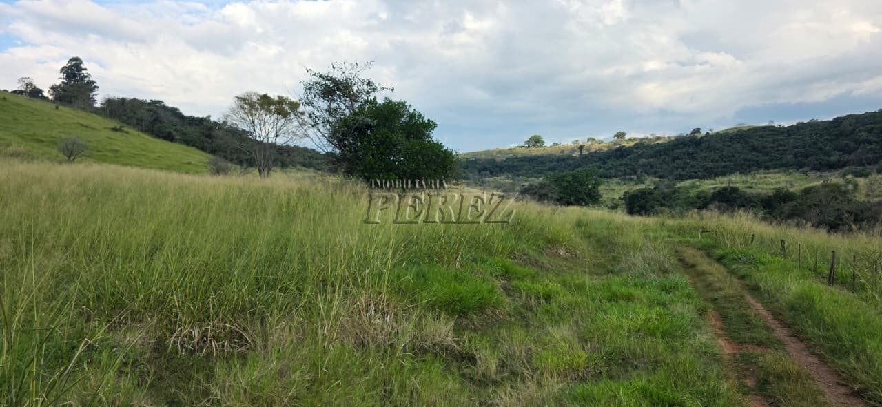 Imóvel rural à venda na Estrada do Posto Serrinha em Londrina