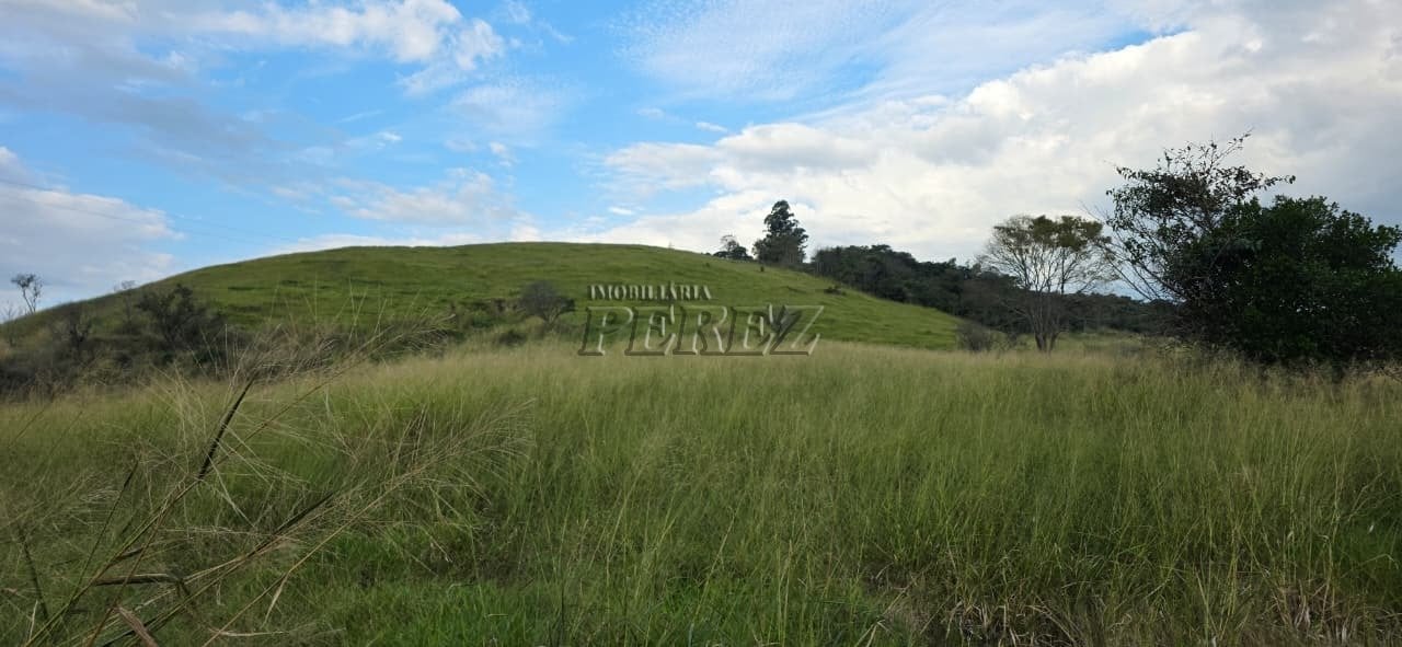 Imóvel rural à venda na Estrada do Posto Serrinha em Londrina