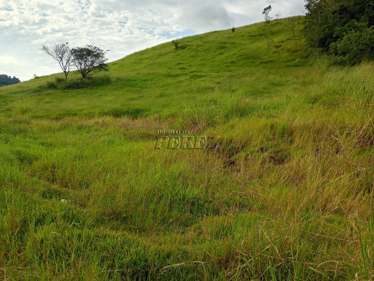 Imóvel rural à venda na Estrada do Posto Serrinha em Londrina