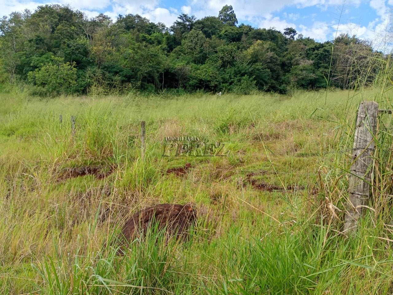 Imóvel rural à venda na Estrada do Posto Serrinha em Londrina