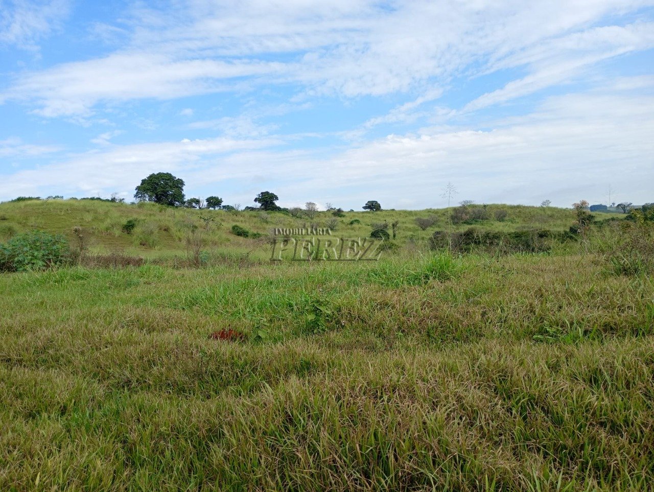 Imóvel rural à venda na Estrada do Posto Serrinha em Londrina