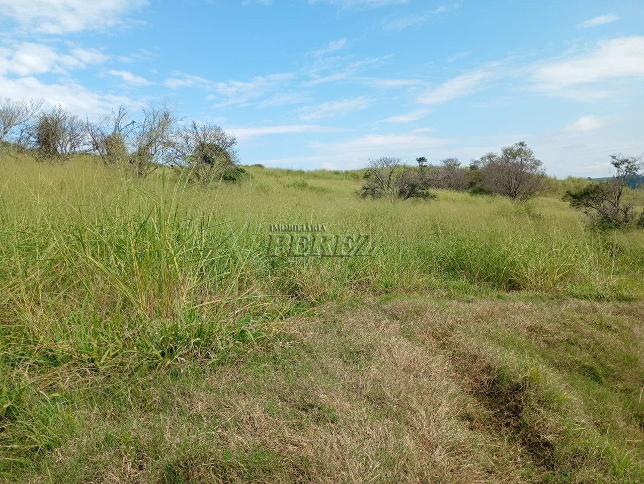 Imóvel rural à venda na Estrada do Posto Serrinha em Londrina