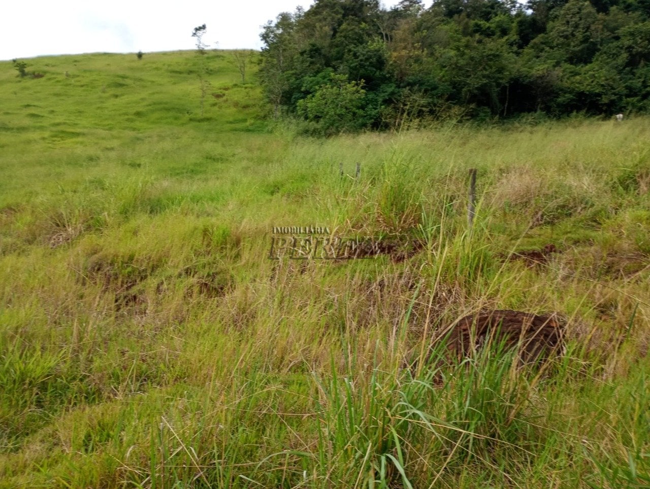 Imóvel rural à venda na Estrada do Posto Serrinha em Londrina