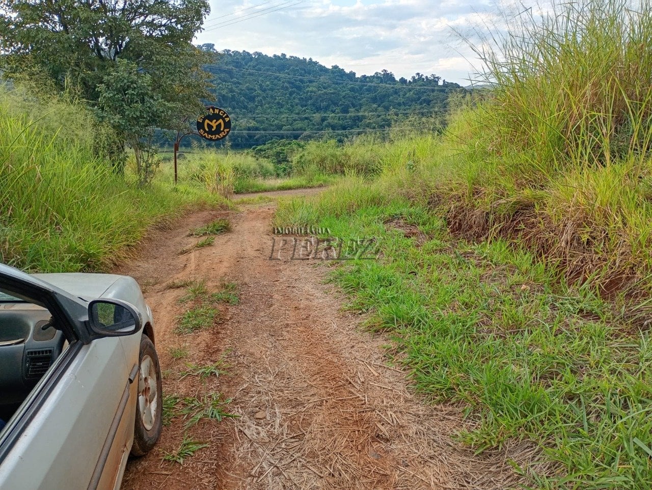 Imóvel rural à venda na Estrada do Posto Serrinha em Londrina