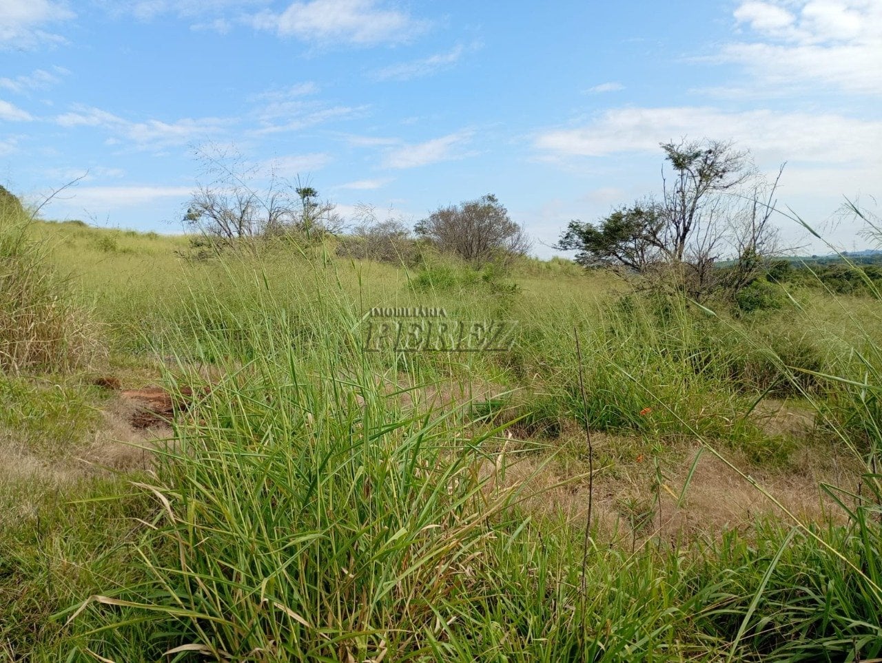 Imóvel rural à venda na Estrada do Posto Serrinha em Londrina