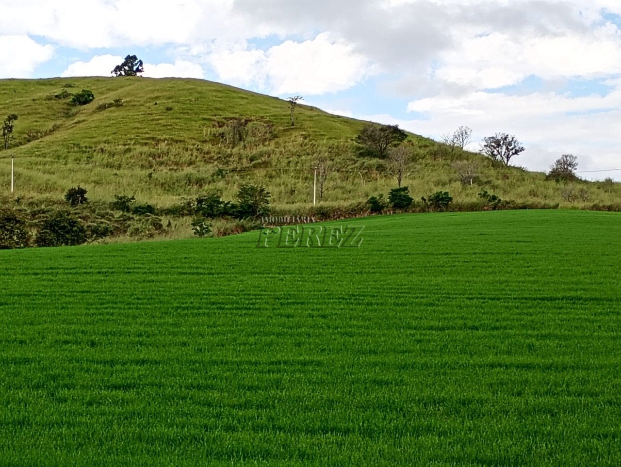 Imóvel rural à venda na Estrada do Posto Serrinha em Londrina