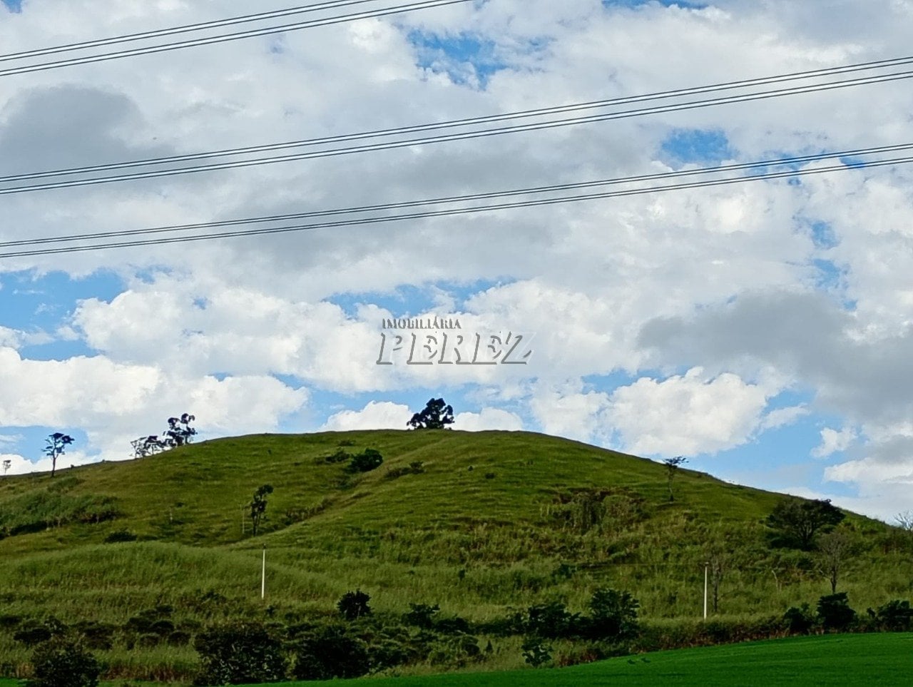 Imóvel rural à venda na Estrada do Posto Serrinha em Londrina