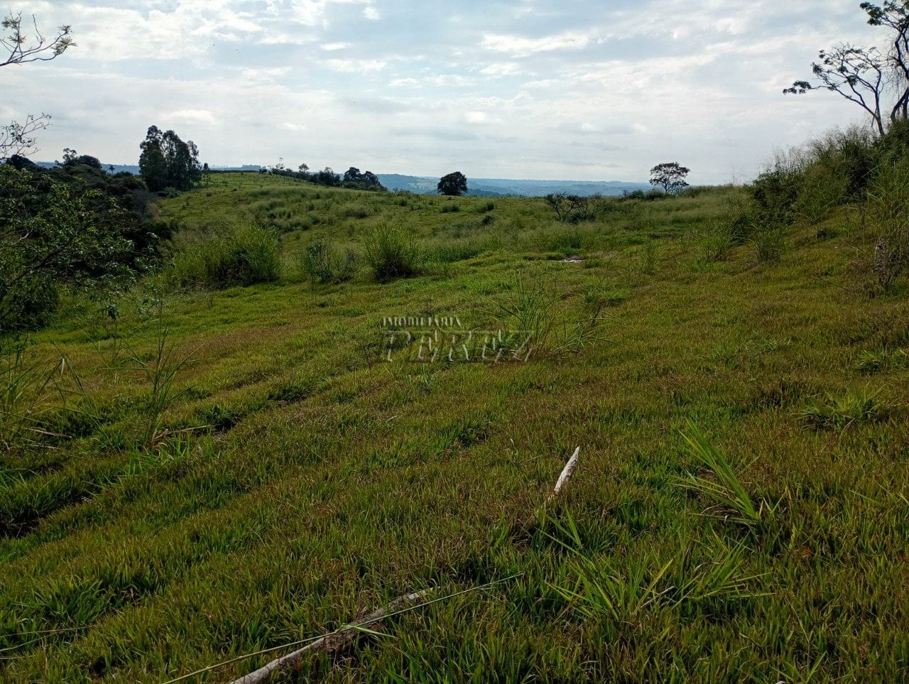 Imóvel rural à venda na Estrada do Posto Serrinha em Londrina
