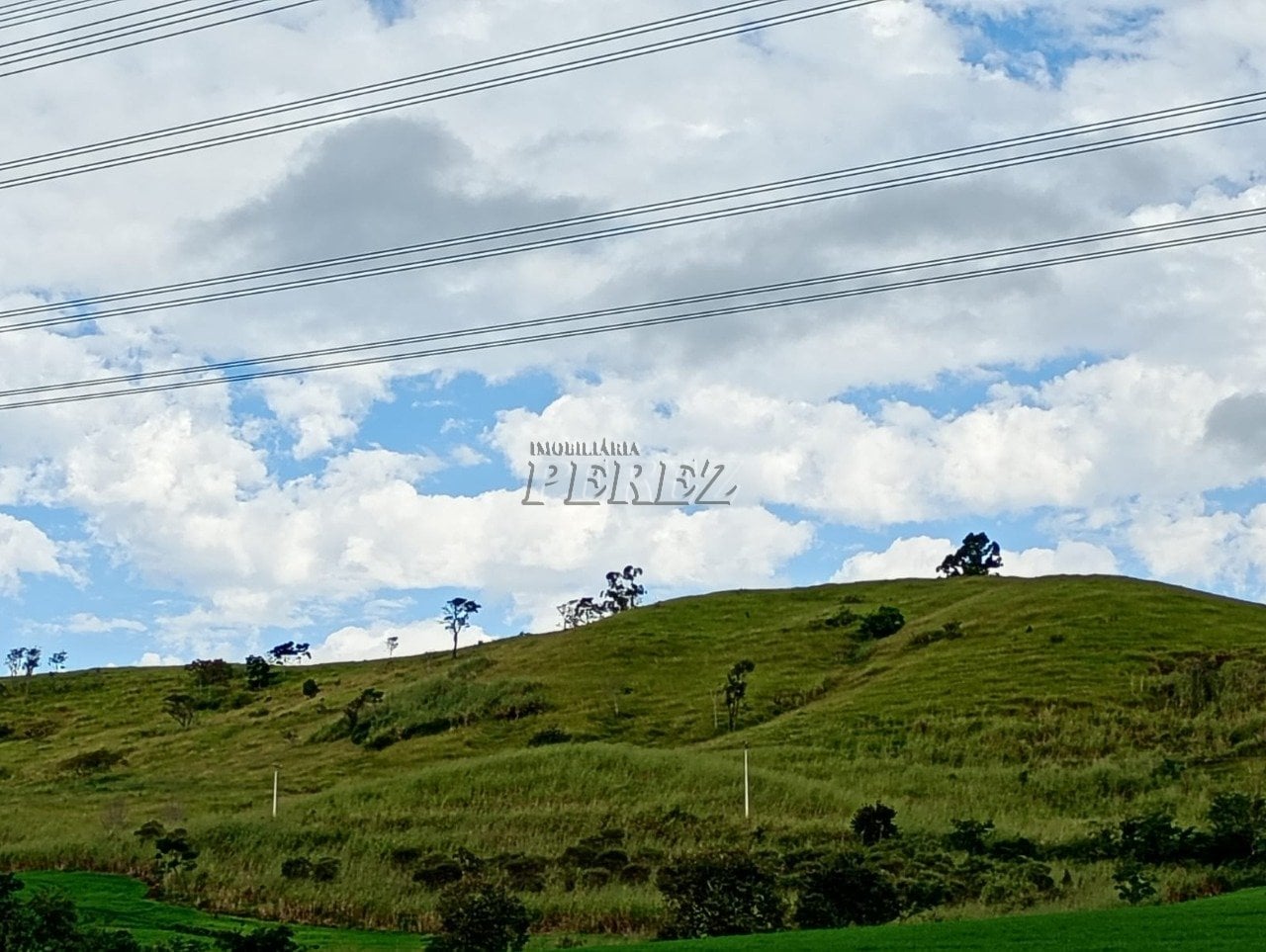 Imóvel rural à venda na Estrada do Posto Serrinha em Londrina