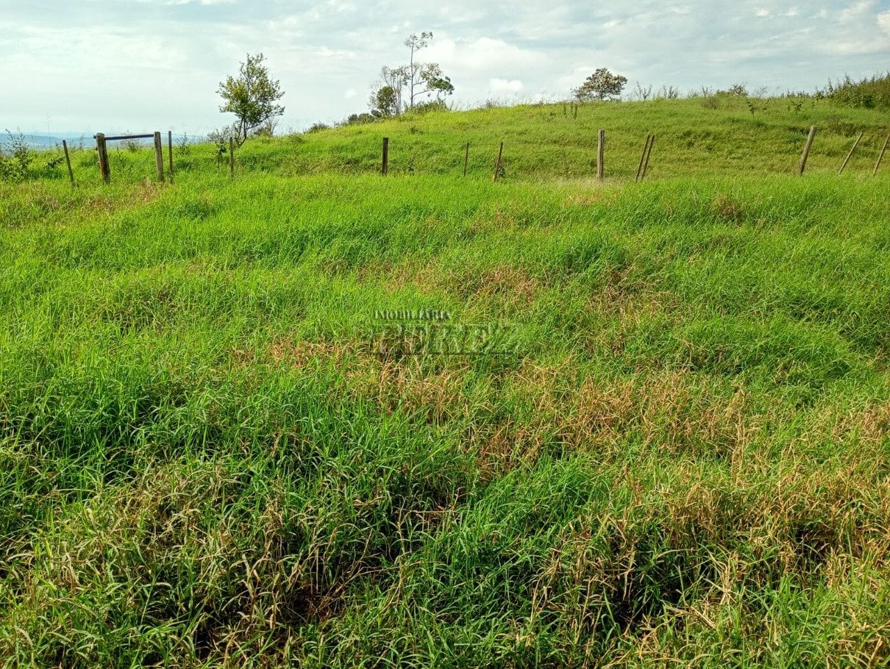 Imóvel rural à venda na Estrada do Posto Serrinha em Londrina