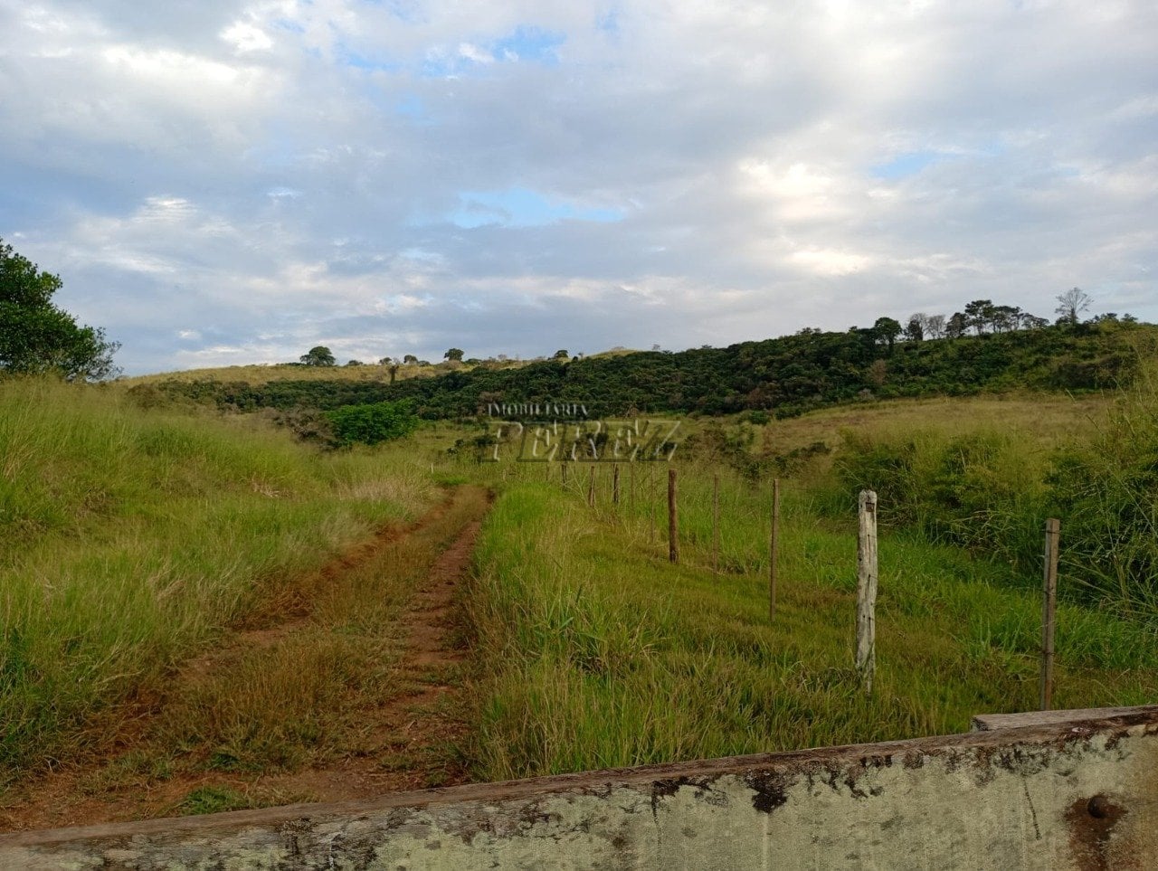 Imóvel rural à venda na Estrada do Posto Serrinha em Londrina