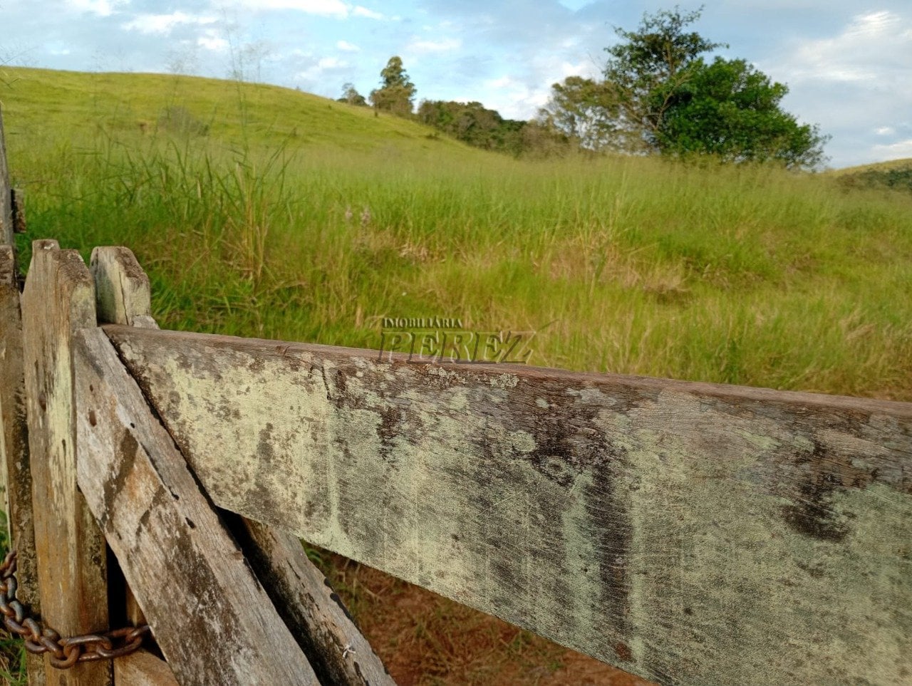 Imóvel rural à venda na Estrada do Posto Serrinha em Londrina