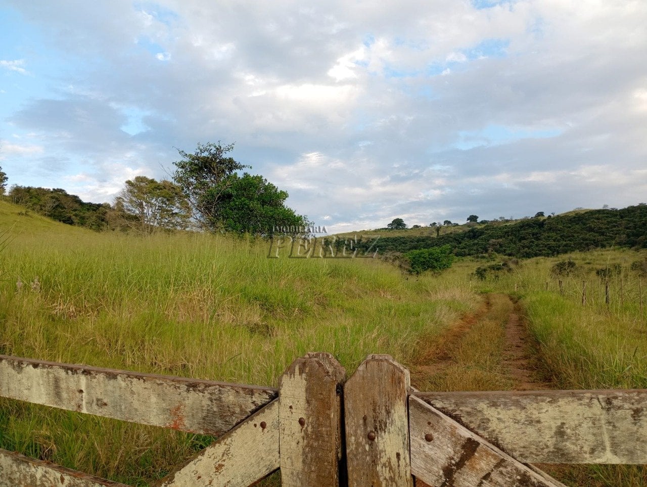 Imóvel rural à venda na Estrada do Posto Serrinha em Londrina