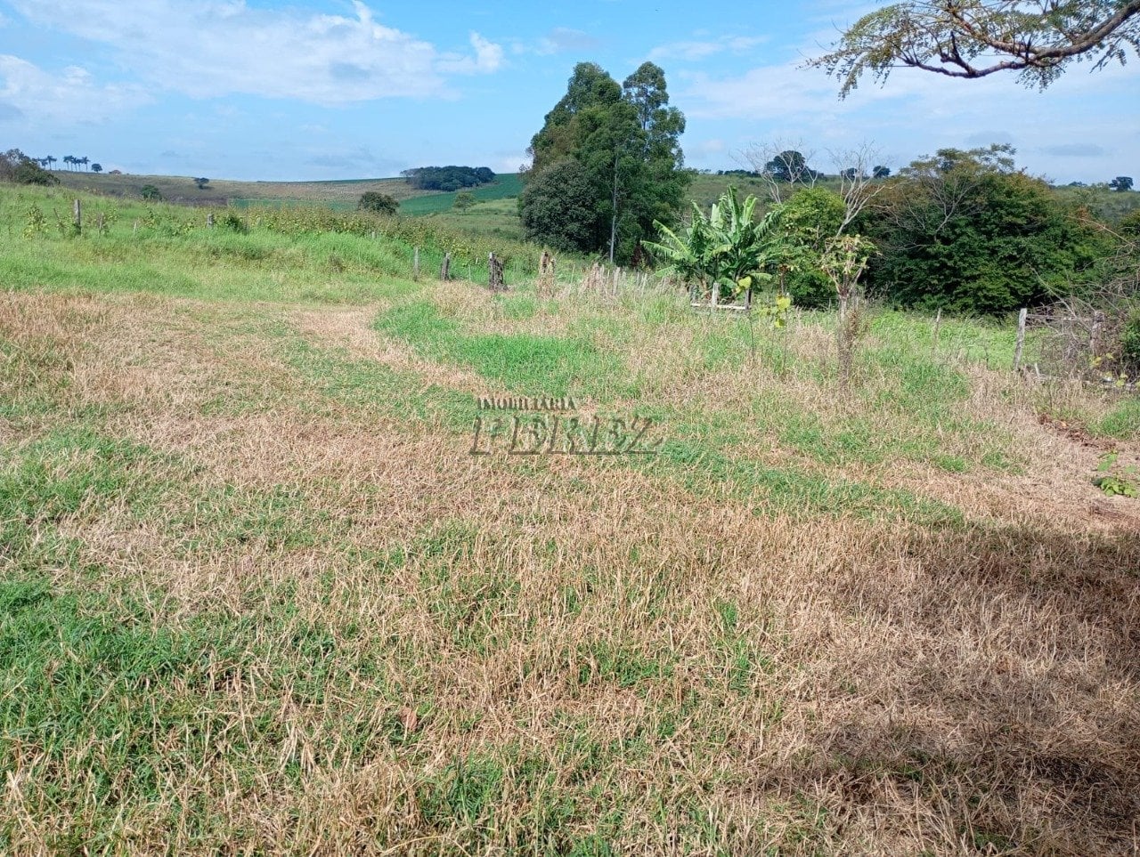 Imóvel rural à venda na Estrada do Posto Serrinha em Londrina