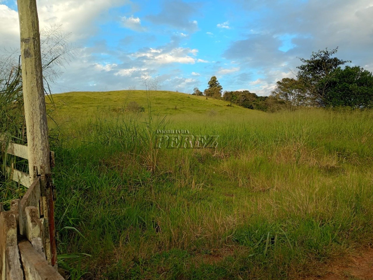 Imóvel rural à venda na Estrada do Posto Serrinha em Londrina