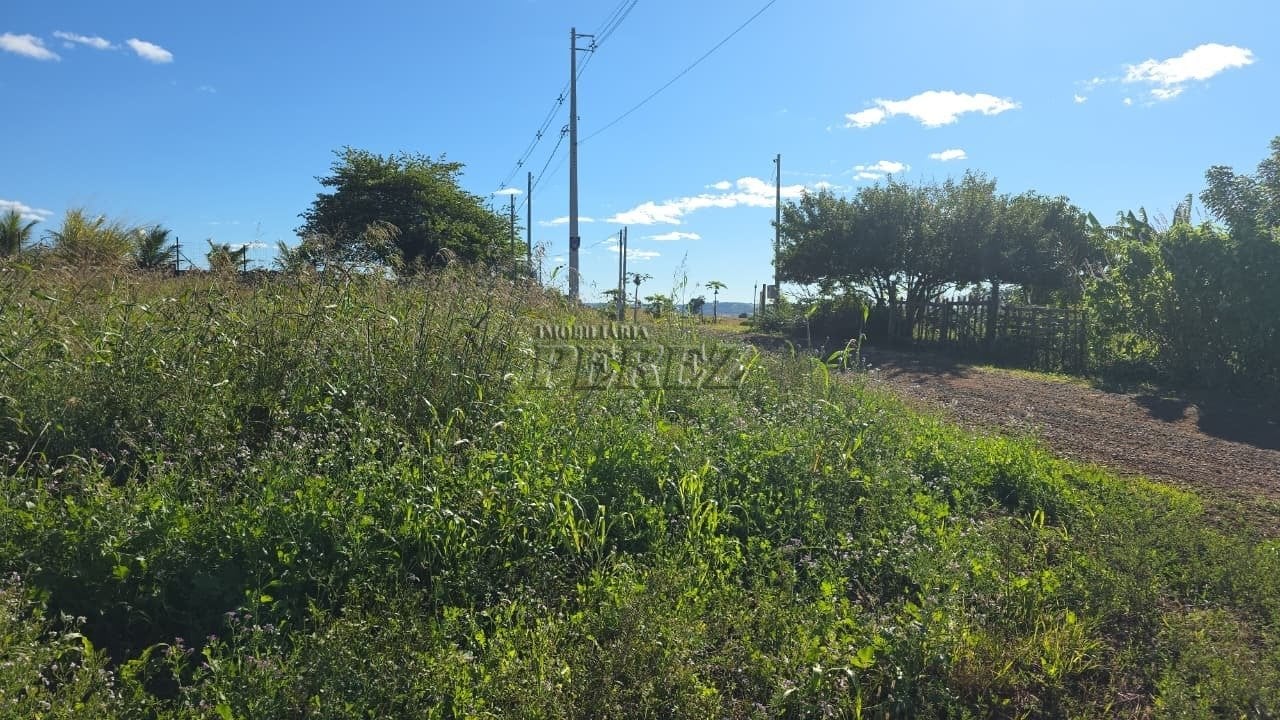 Imóvel rural à venda em Irerê - Fazenda Taquara