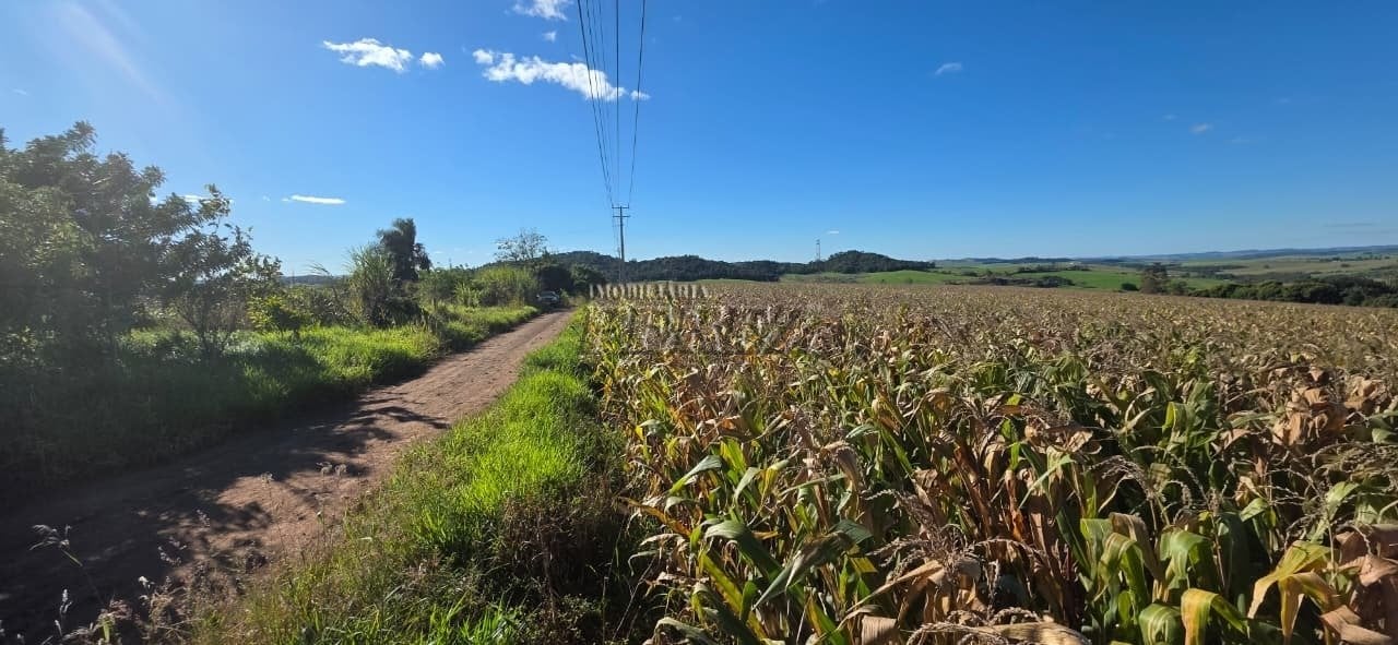 Imóvel rural à venda em Irerê - Fazenda Taquara