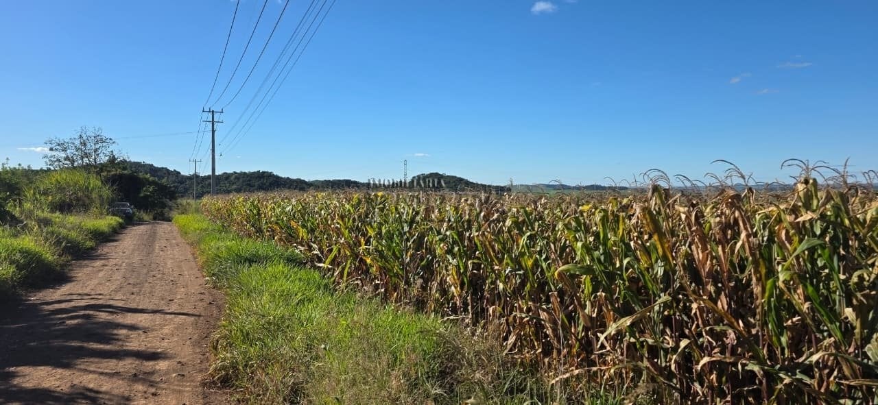 Imóvel rural à venda em Irerê - Fazenda Taquara