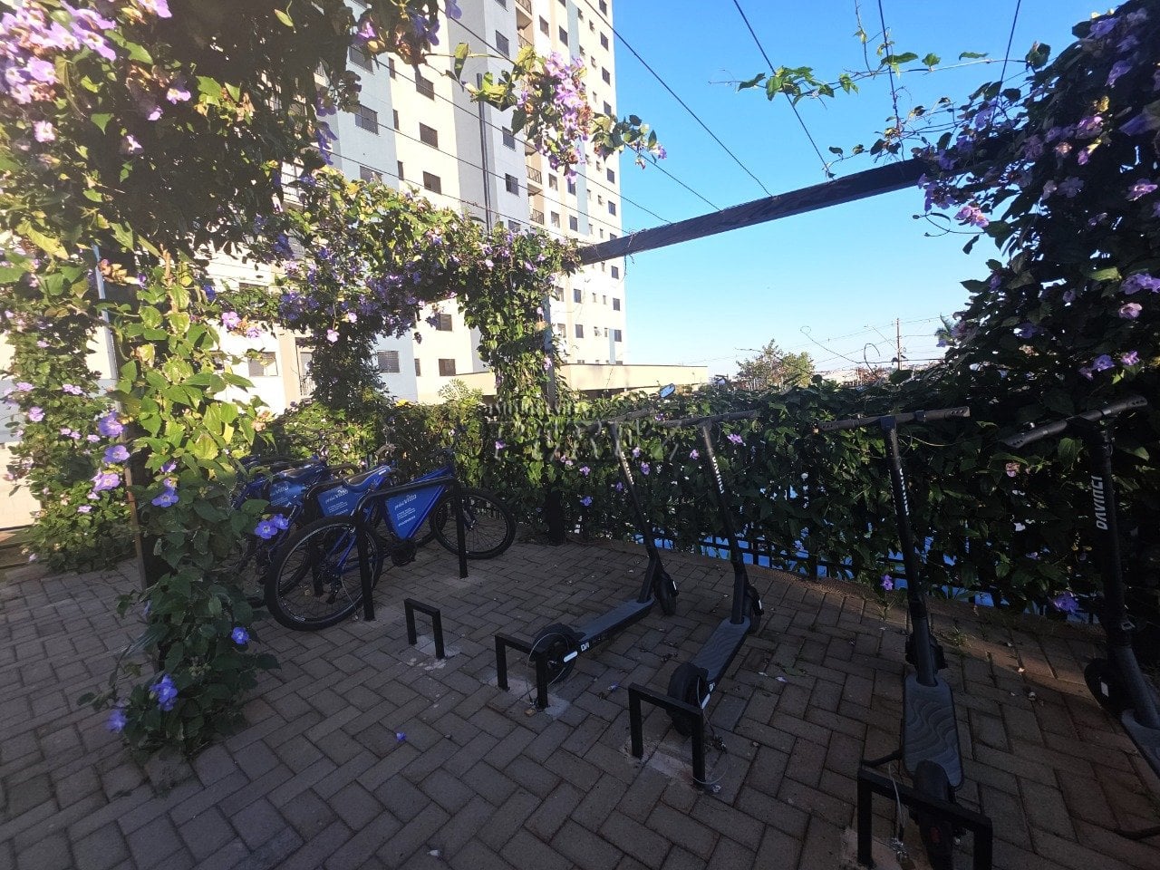 Apartamento para alugar no Edifício Ever - Região norte de Londrina