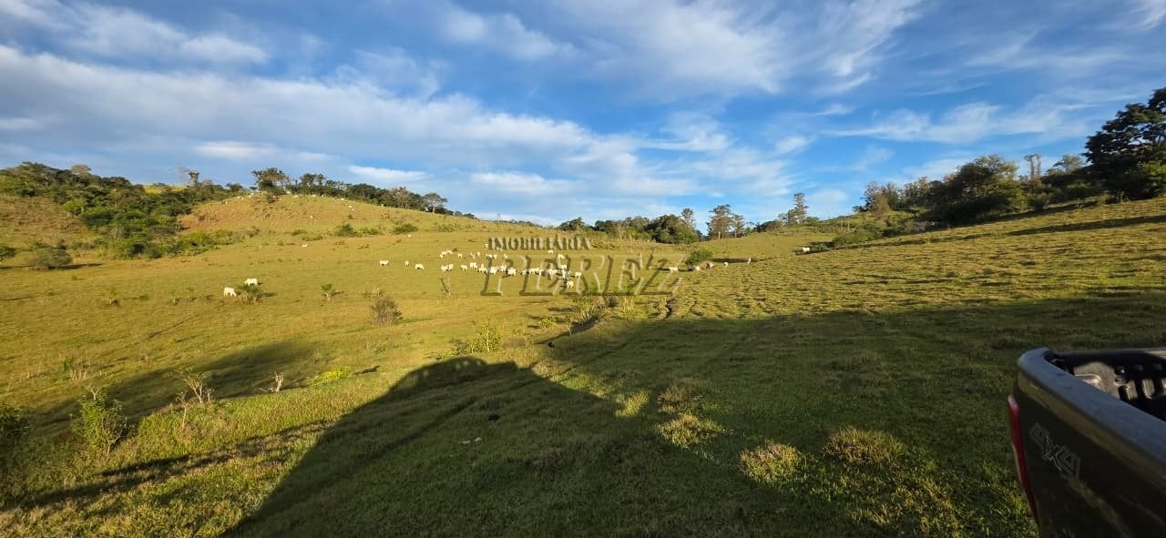 Fazenda à venda - Fazenda Três Bocas - Estrada Carraro Vergílio Moro, próxima ao Patrimônio Selva.