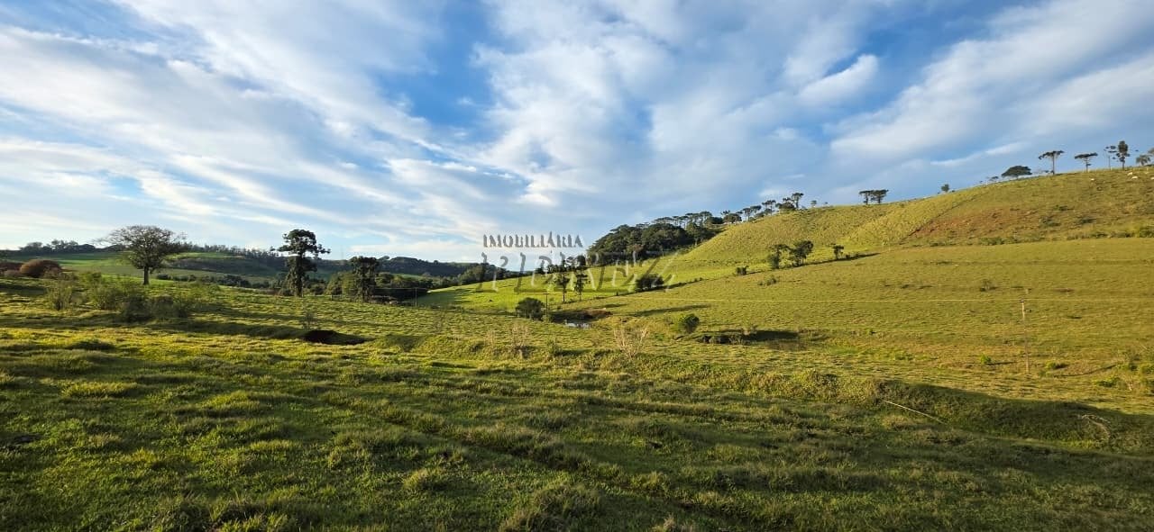 Fazenda à venda - Fazenda Três Bocas - Estrada Carraro Vergílio Moro, próxima ao Patrimônio Selva.