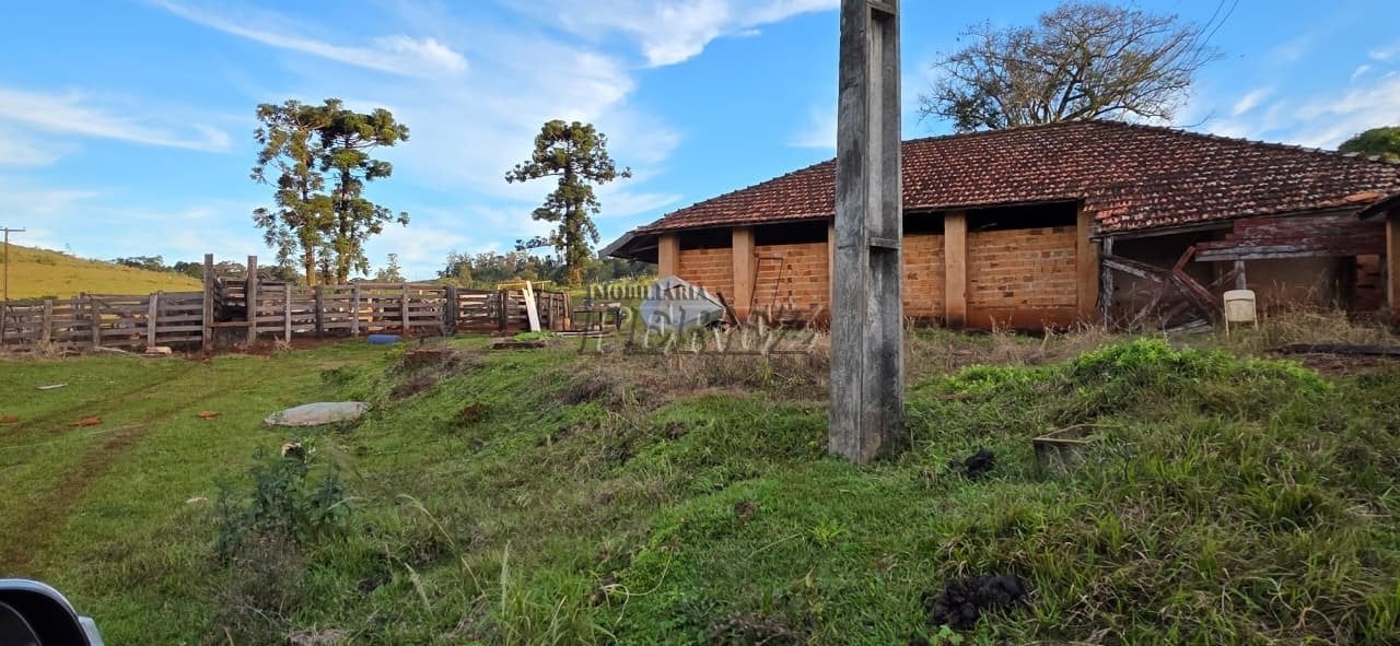 Fazenda à venda - Fazenda Três Bocas - Estrada Carraro Vergílio Moro, próxima ao Patrimônio Selva.